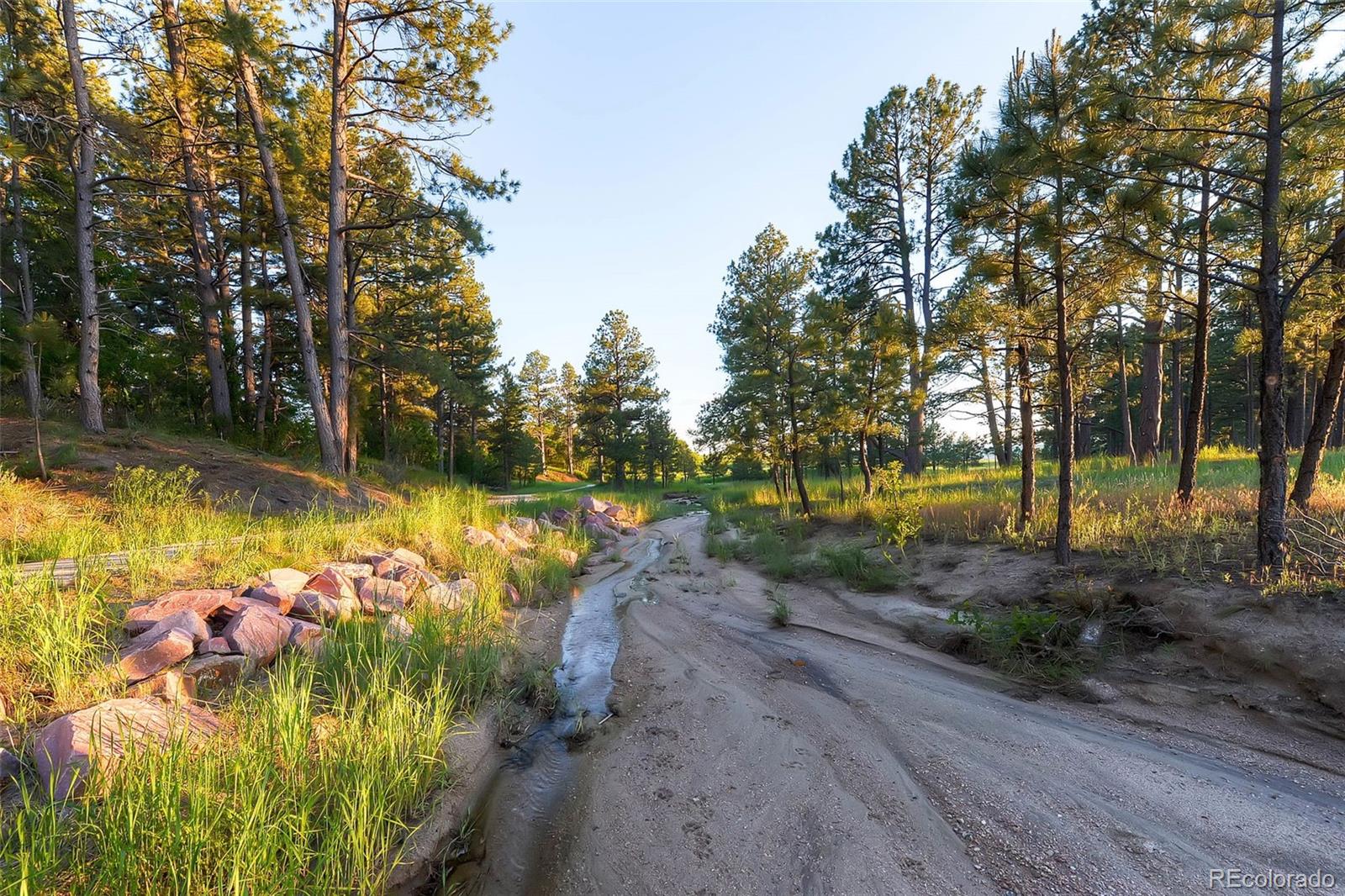 9728 Majestic Oak Drive, Parker, CO, 80134 9728 Majestic Oak Drive