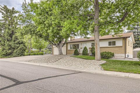 Single Family Residence in Lakewood CO 591 Taft Street.jpg