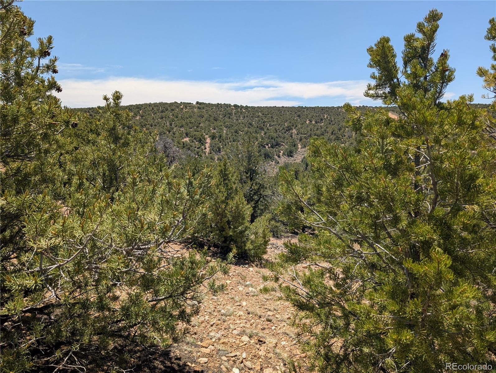 Lot 3885 Galloway Road