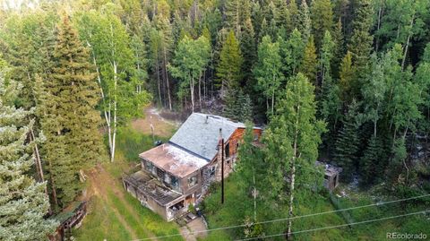 Photo of 11173 S Barney Gulch Road, Conifer, CO 80433 (MLS # 5565728)