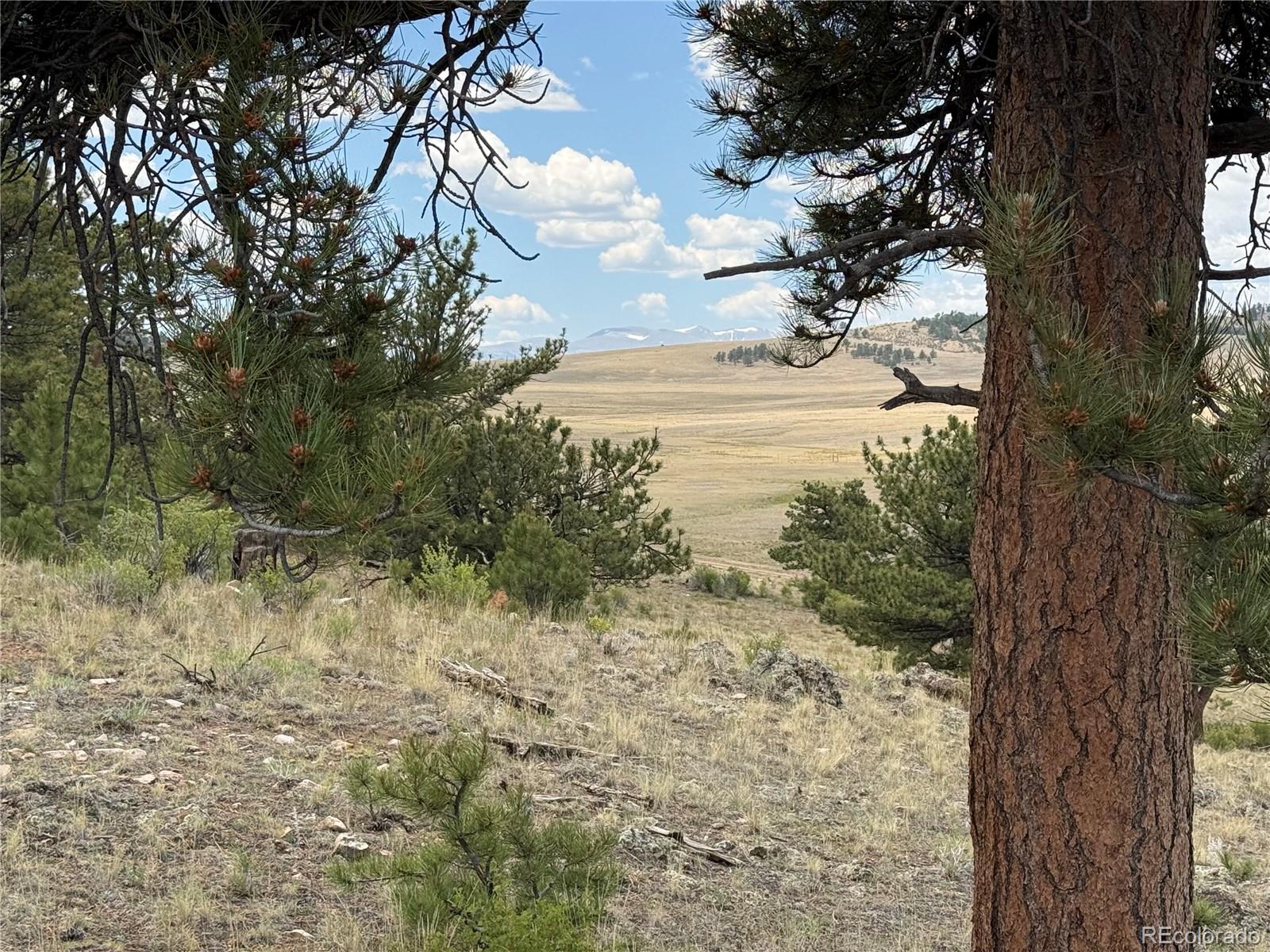 HoHoKan Trail