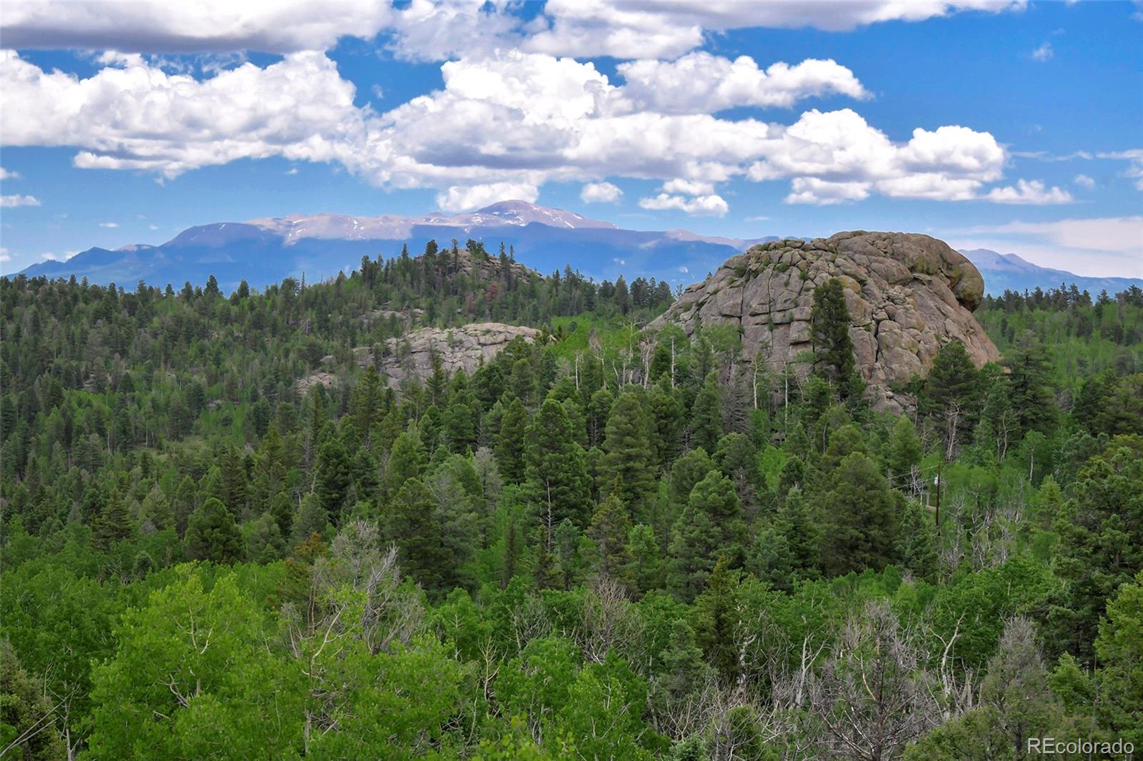 290 Eagle Rock Road, Florissant, CO, 80816 1 290 Eagle Rock Road