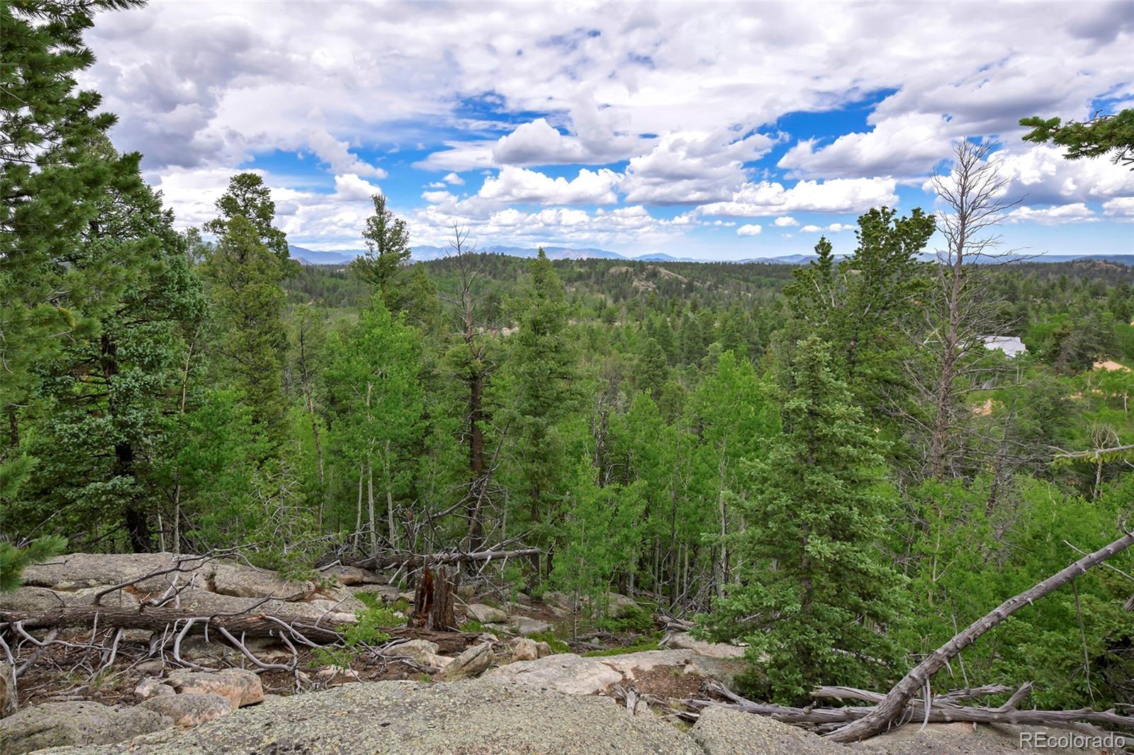 290 Eagle Rock Road, Florissant, CO, 80816 2 290 Eagle Rock Road