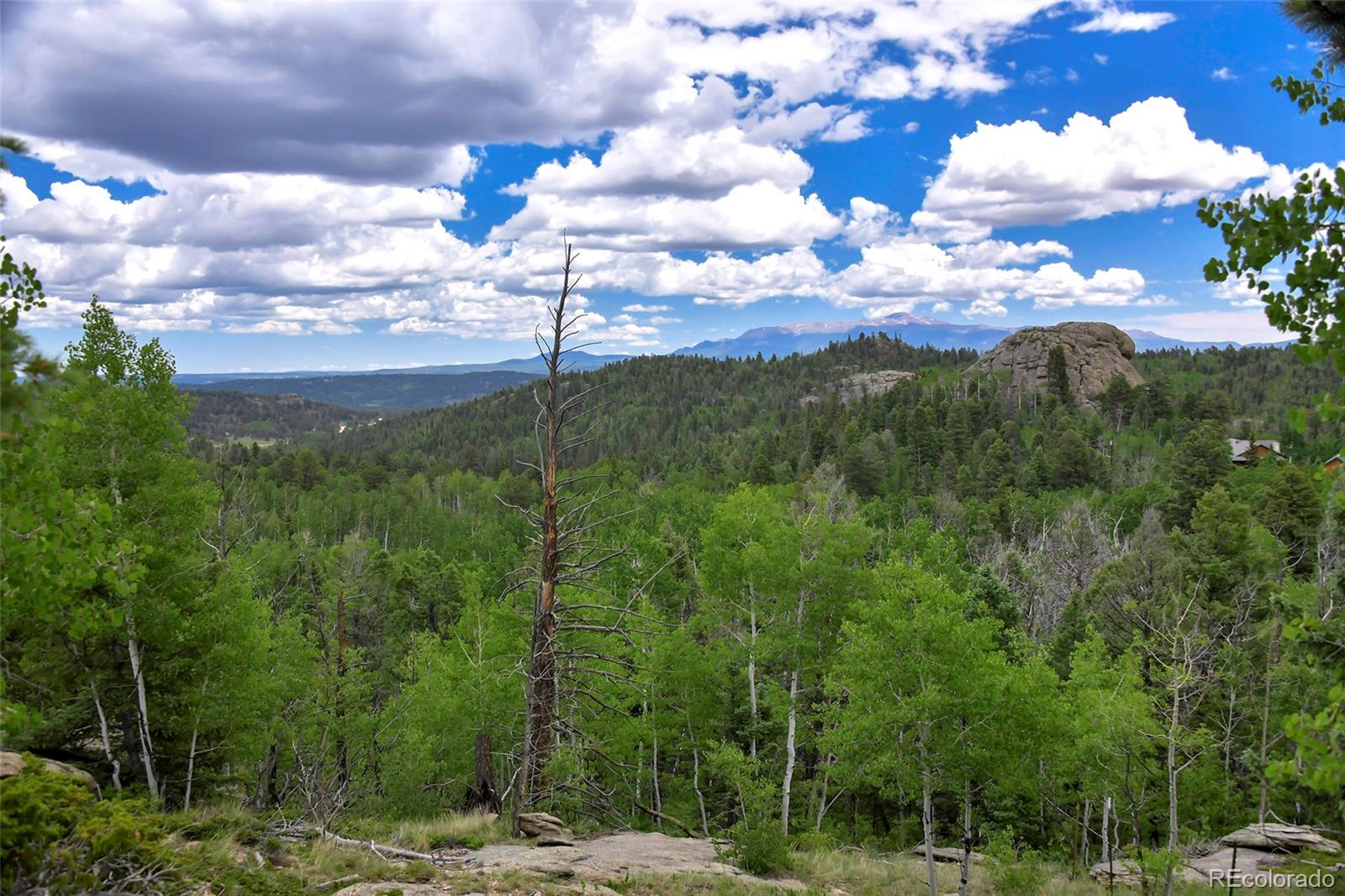 290 Eagle Rock Road, Florissant, CO, 80816 4 290 Eagle Rock Road