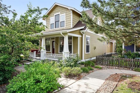 9134 E 29th Place Denver CO 80238