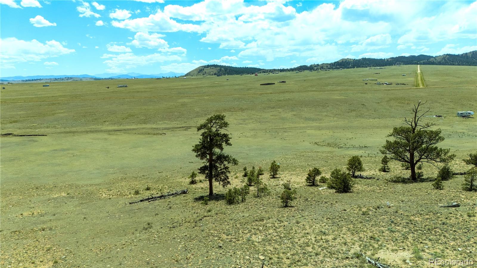 Photo 1 of 19 — 1408 Larimer Drive, Hartsel, CO 80449