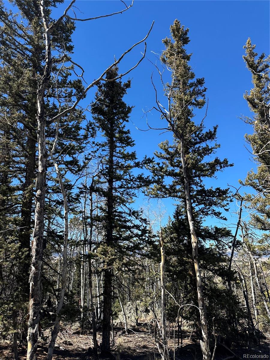 505 N Quarter Horse Road