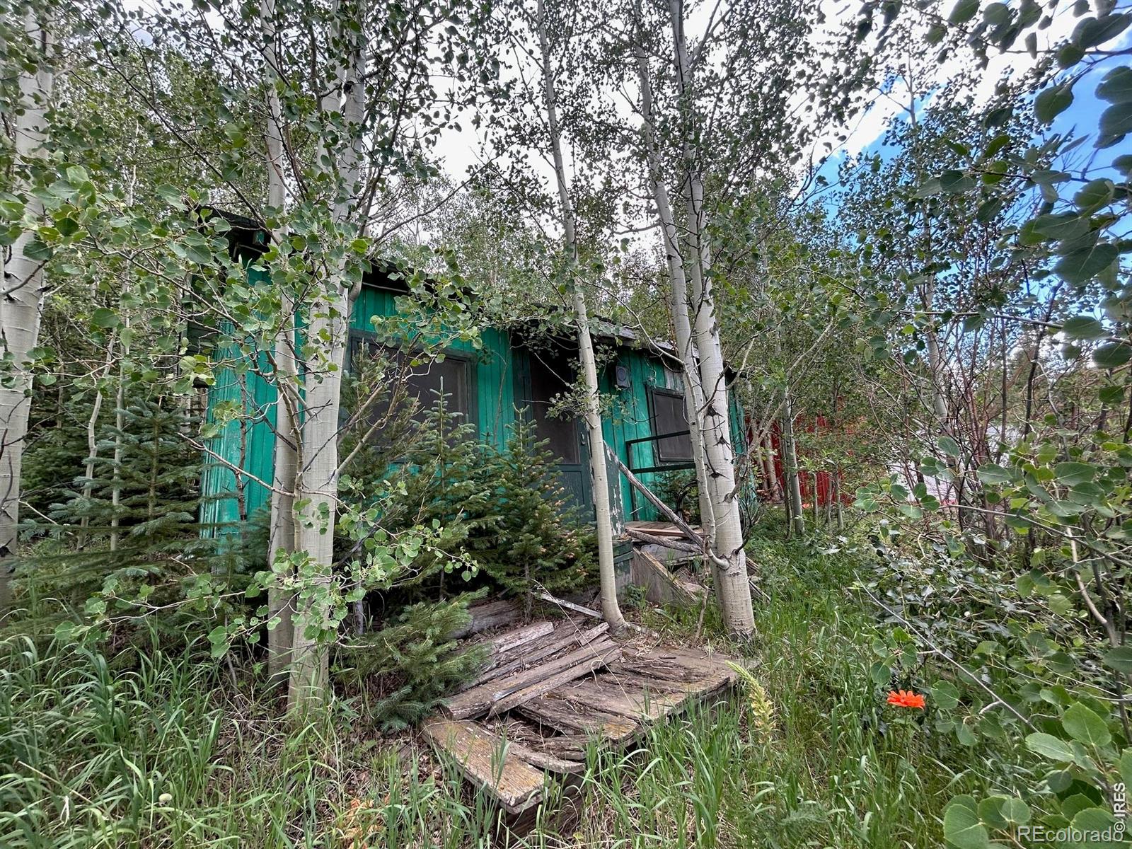 5004 Tolland Road