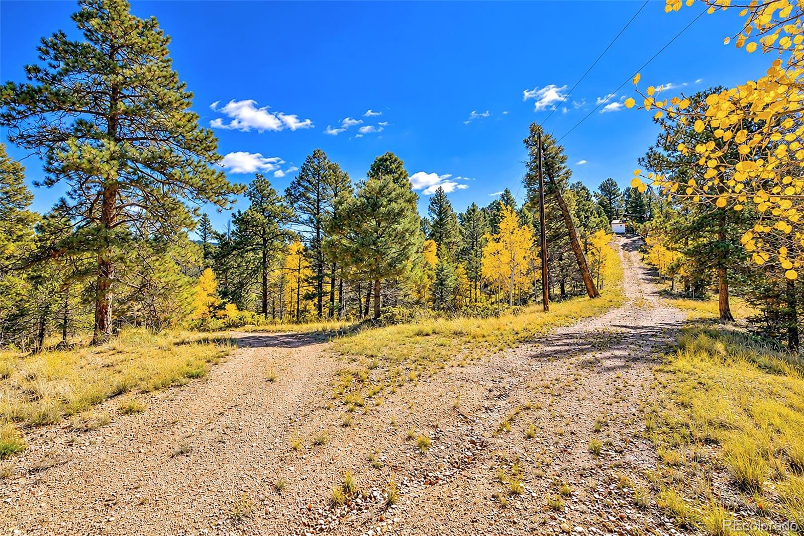 72 Buffalo Creek Trail