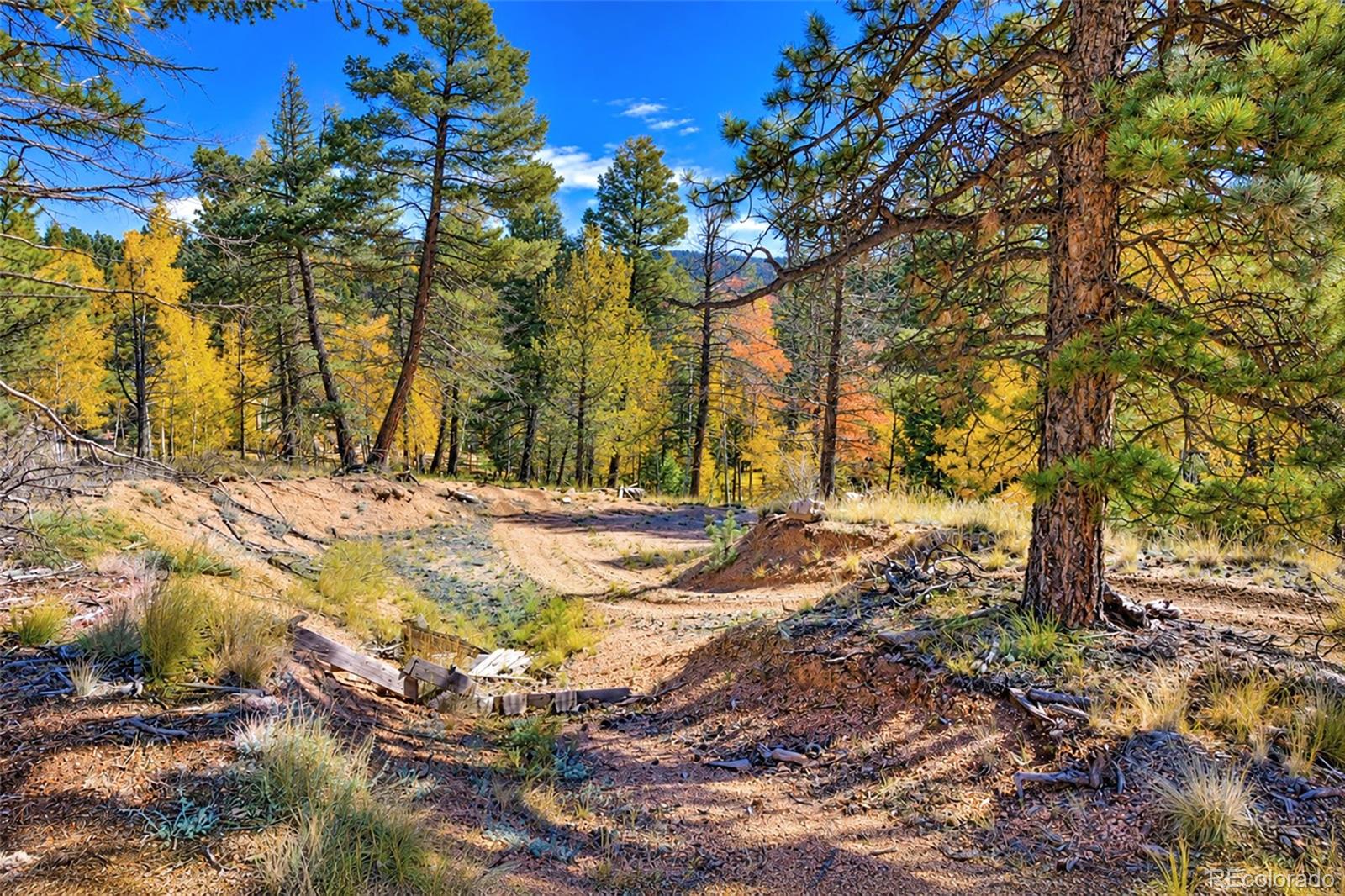 72 Buffalo Creek Trail