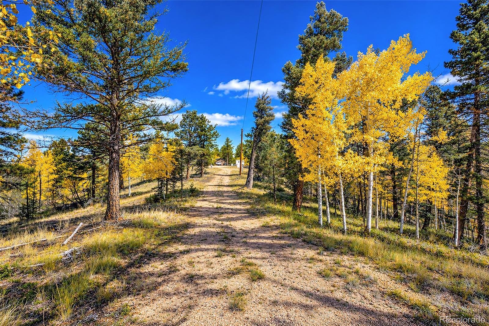 72 Buffalo Creek Trail