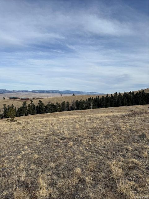 000 Louisiana Ridge Westcliffe CO 81252