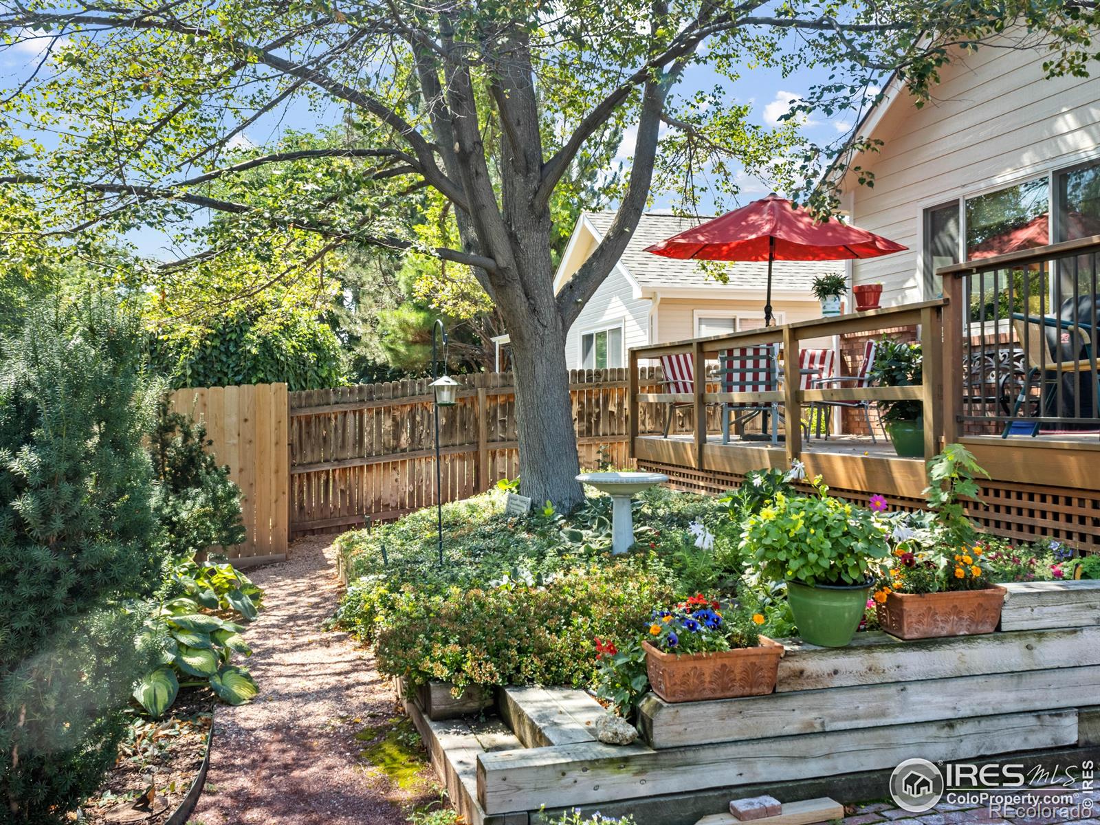 1520 Tulip Court, Longmont, CO, 80501 4 1520 Tulip Court