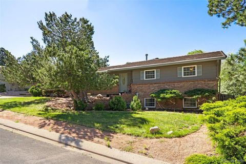 Single Family Residence in Colorado Springs CO 45 Gold Coin Court.jpg