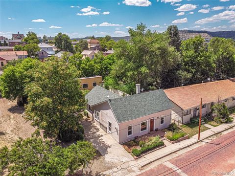 317 S Commercial Street, Trinidad, CO 81082 - #: 4907143