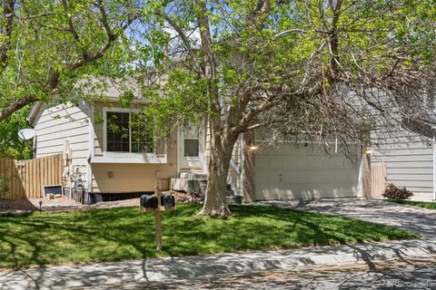 17611 Hoyt Place Parker CO 80134