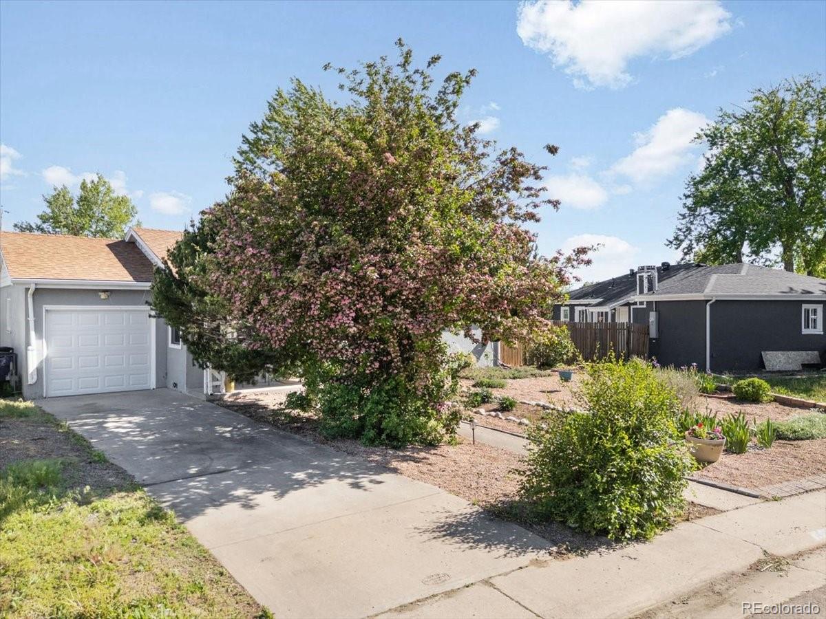 1568 S Osceola Way