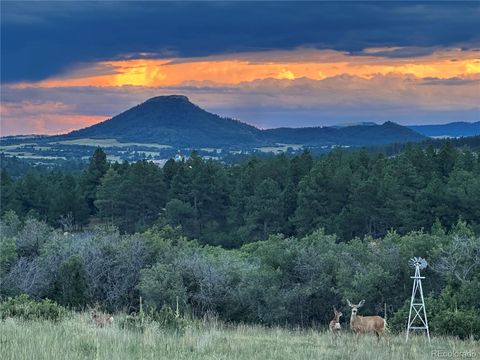 5800 Elk View Court Larkspur CO 80118