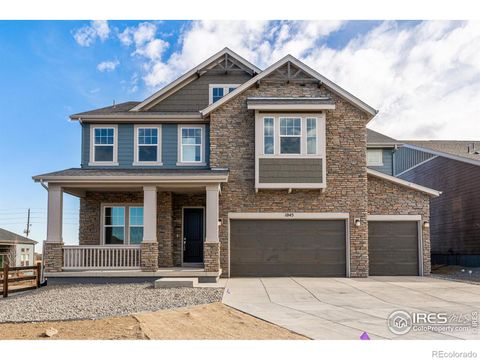 1045 Red Iron Court, Erie, CO 80516 - #: IR1002365