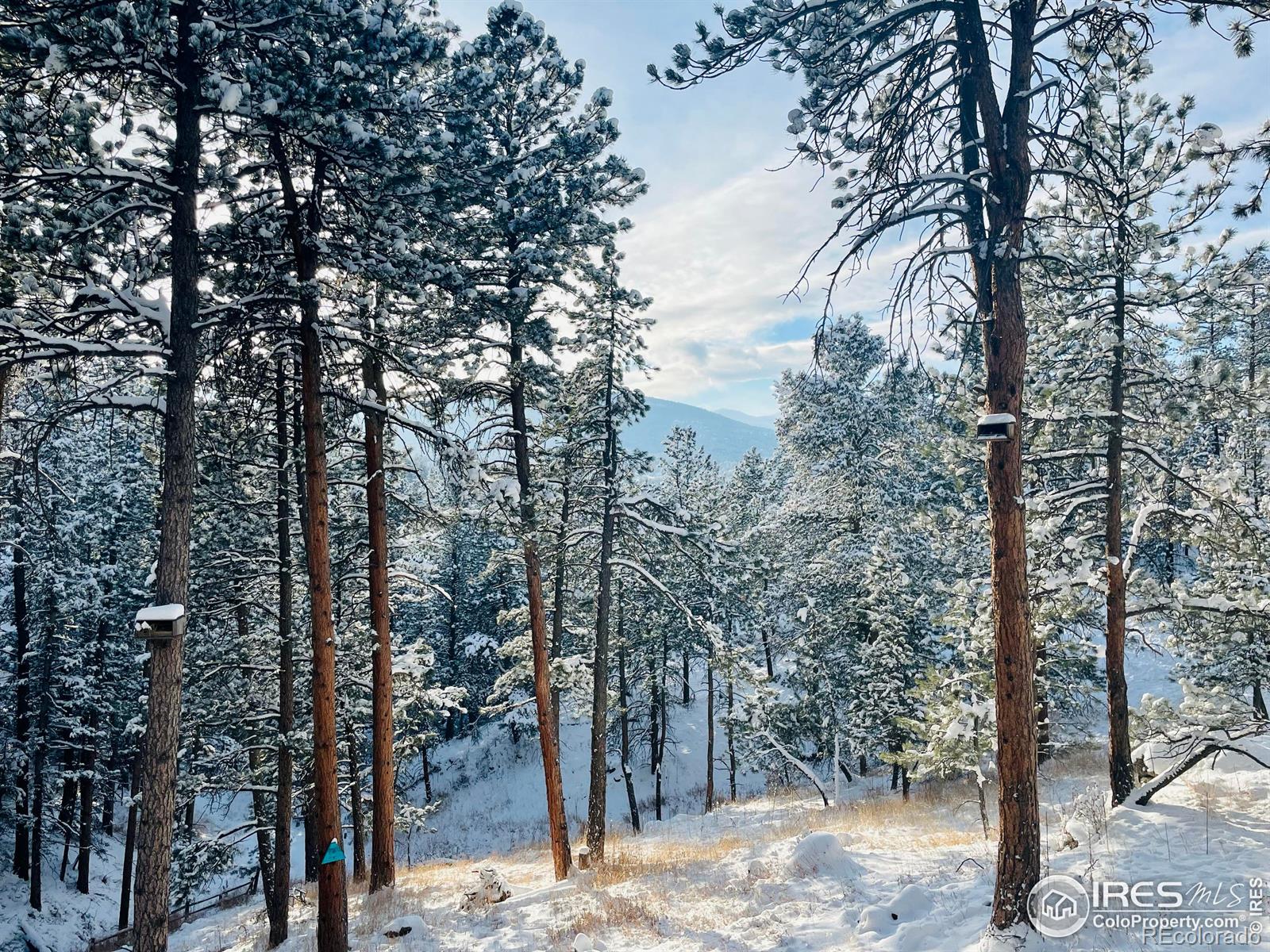 4786 Forest Hill Road