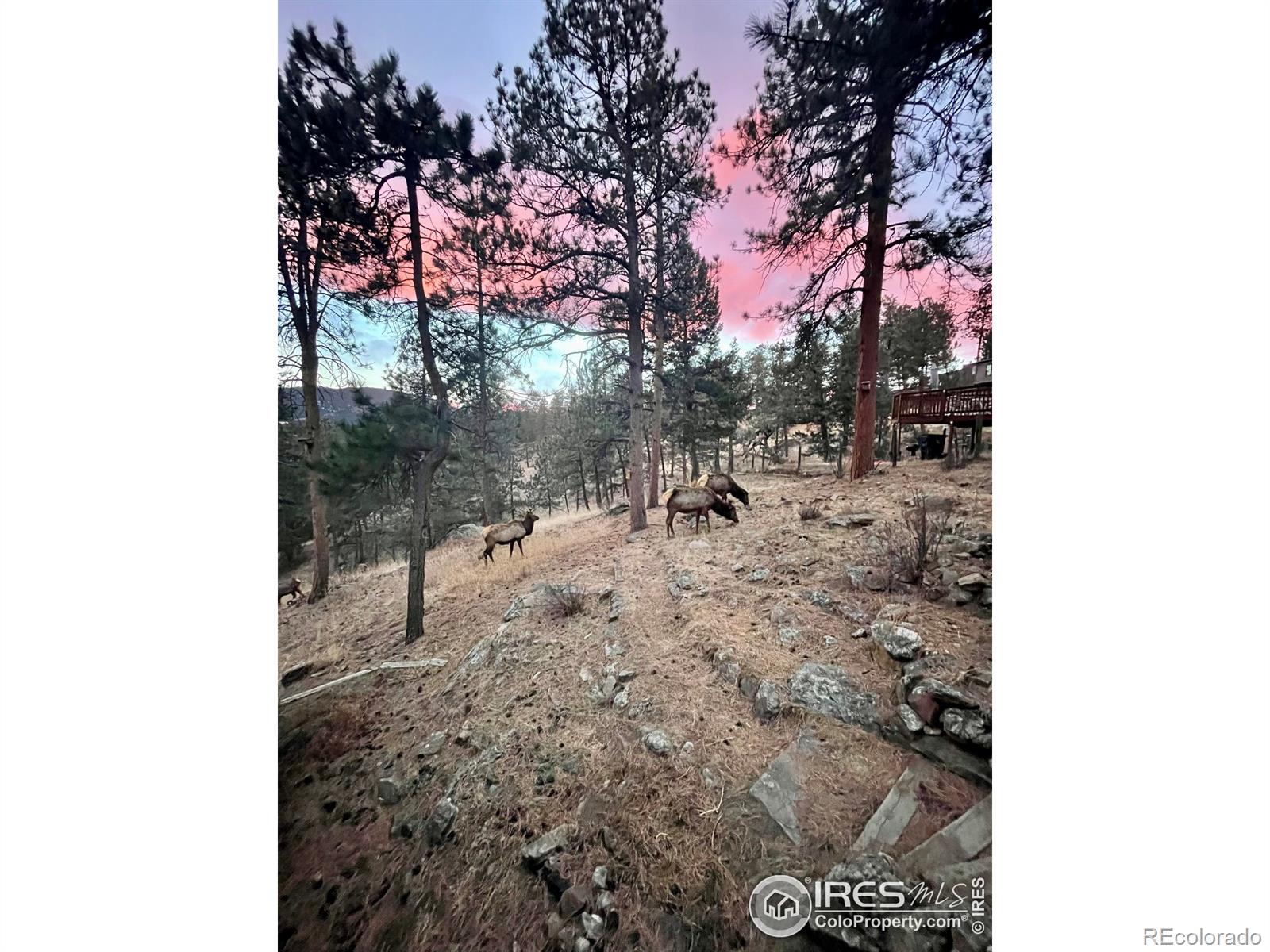 4786 Forest Hill Road