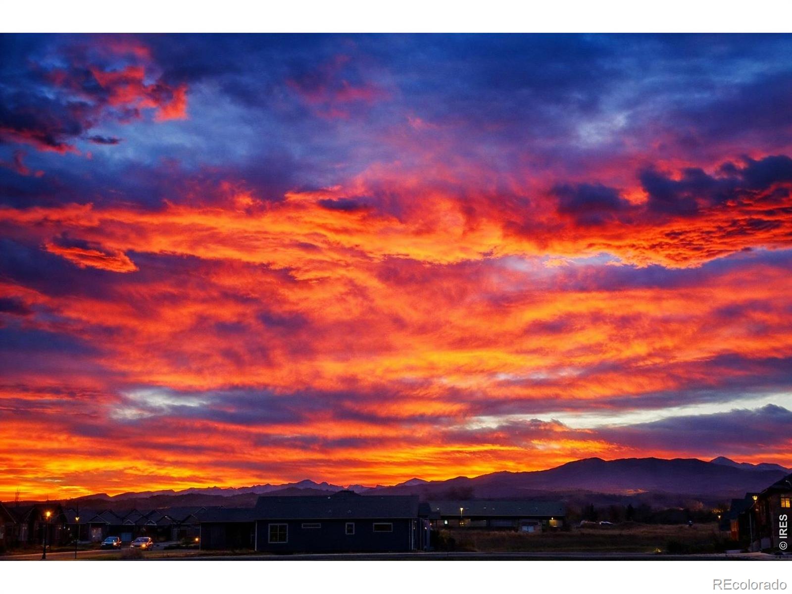 3560 Peruvian Torch Drive