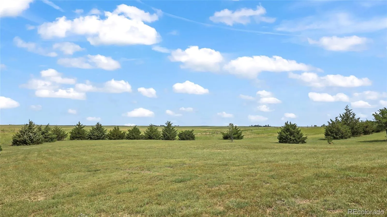 Akron, Colorado 80720, United States, 3 Bedrooms Bedrooms, ,3 BathroomsBathrooms,Residential,Active,175646