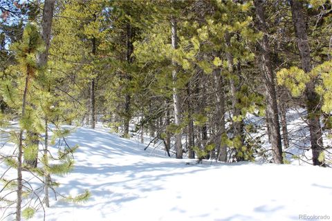 Unimproved Land in Black Hawk CO 00 Big Horn 2.jpg