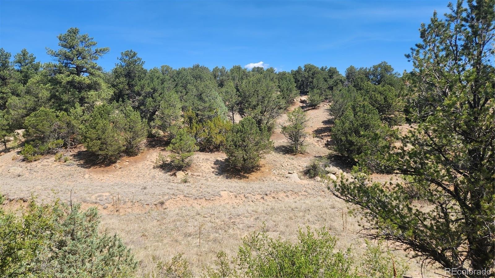 161 Ponderosa Lane - Photo 3