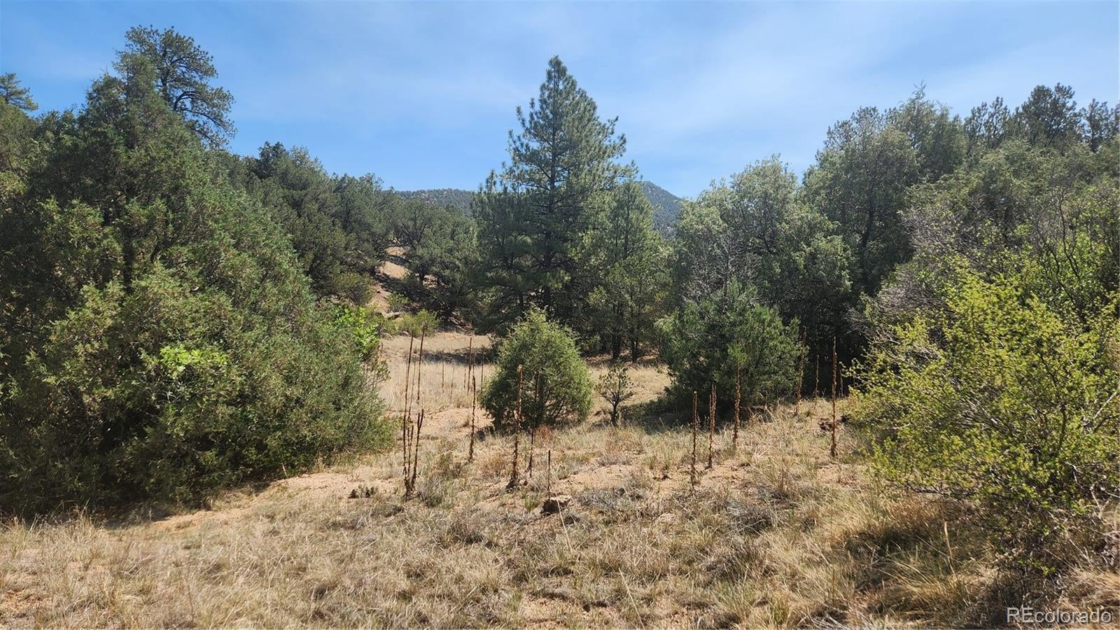 161 Ponderosa Lane - Photo 2