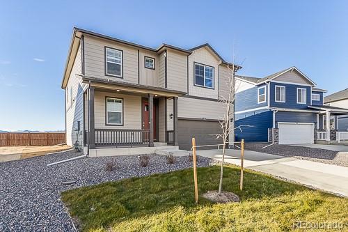 5974 Holstein Drive, Windsor, CO, 80528 1 5974 Holstein Drive