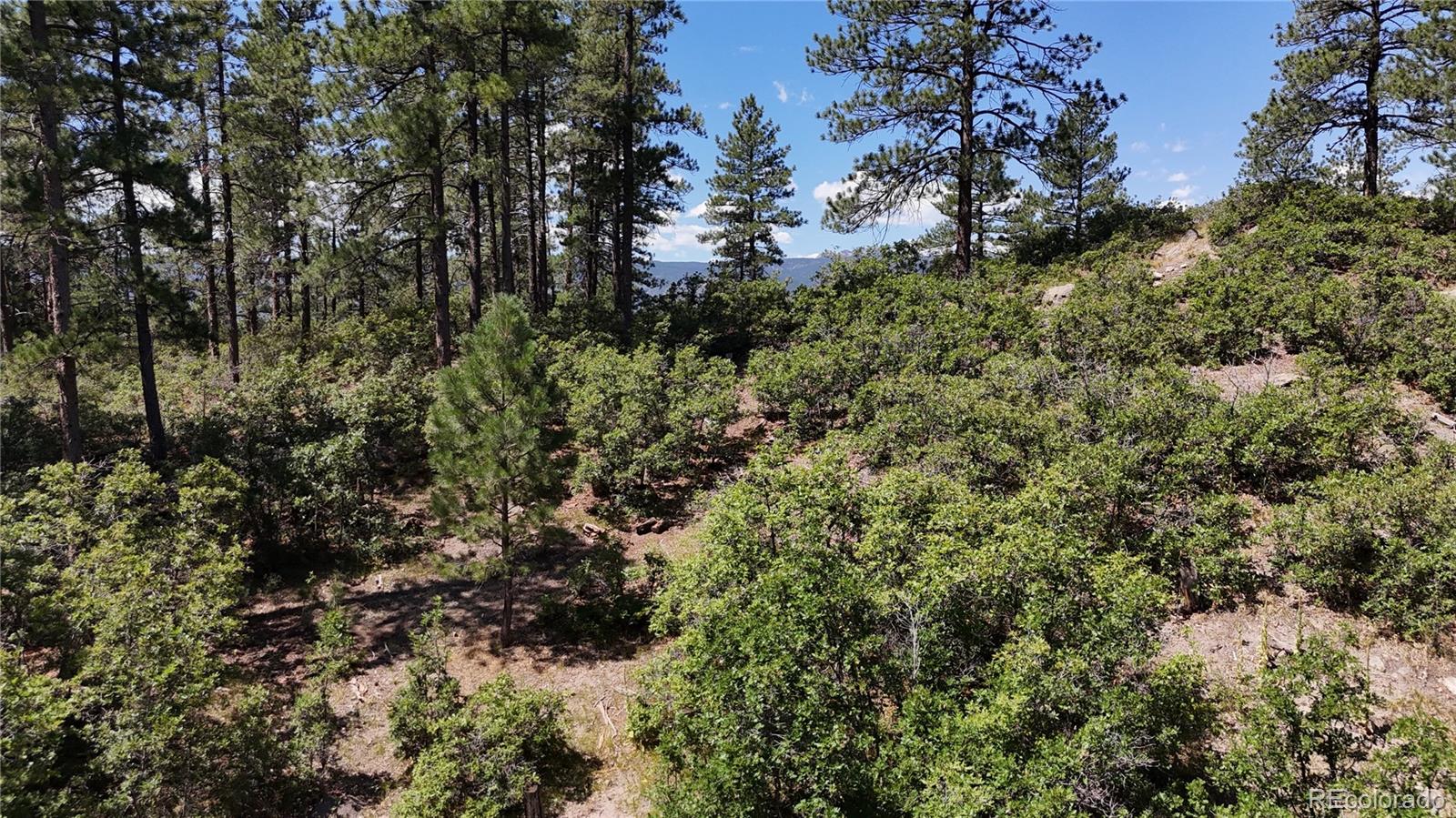 5080 S Perry Park Road, Sedalia, CO, 80135 5080 S Perry Park Road