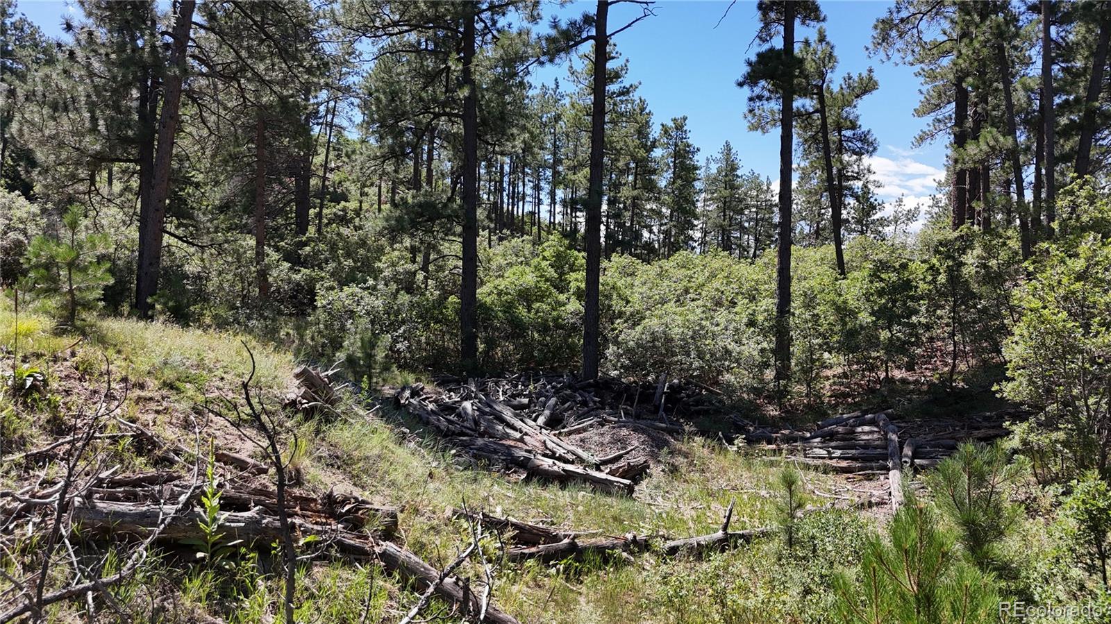 5080 S Perry Park Road, Sedalia, CO, 80135 5080 S Perry Park Road