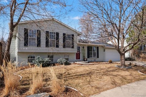 1006 Stein Street Lafayette CO 80026