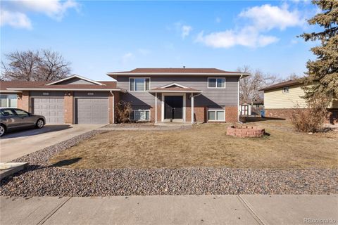 4615 Quail Street Wheat Ridge CO 80033