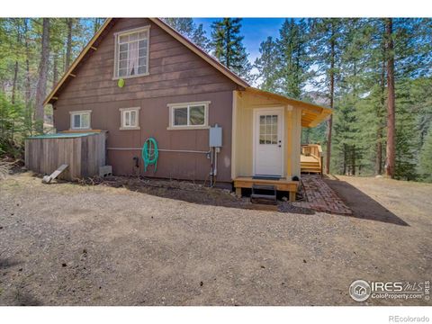 80 Youngs Gulch Road, Bellvue, CO 80512 - #: IR987627