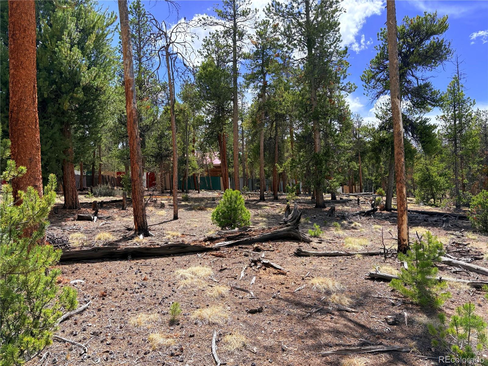 360 Lodgepole Drive