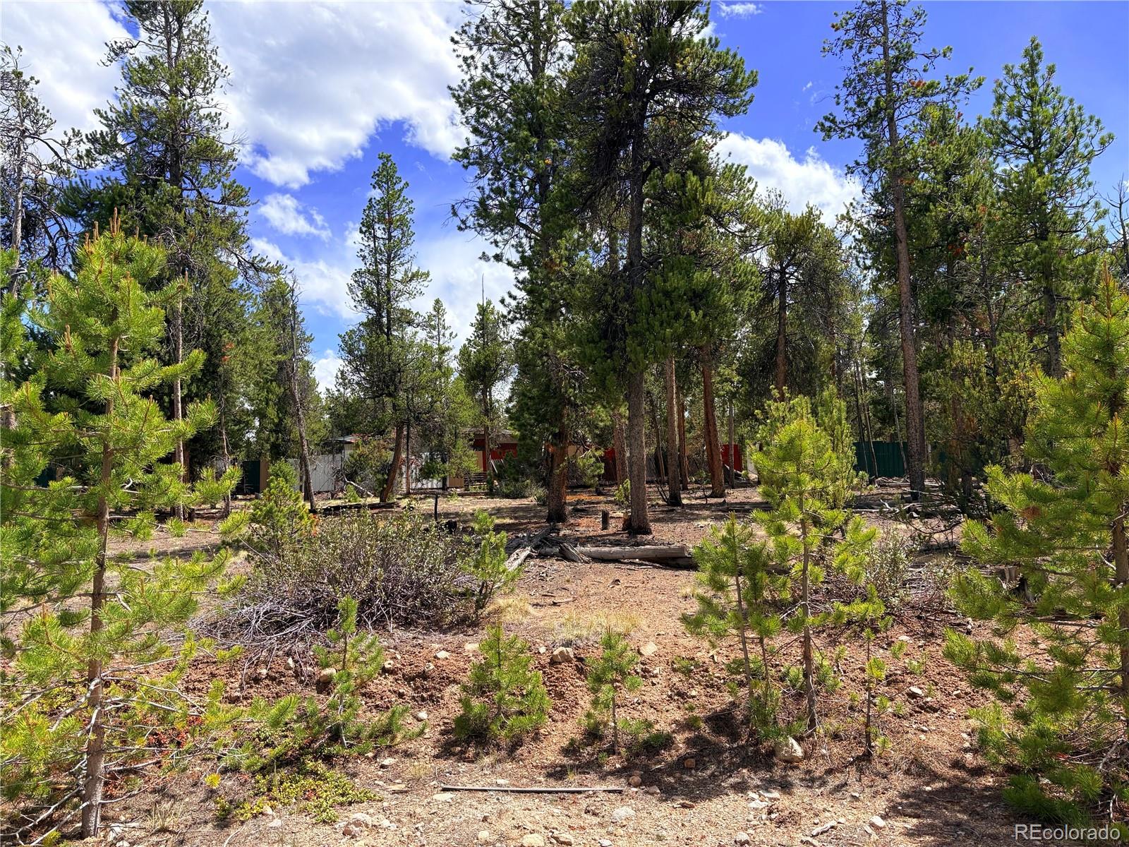 360 Lodgepole Drive