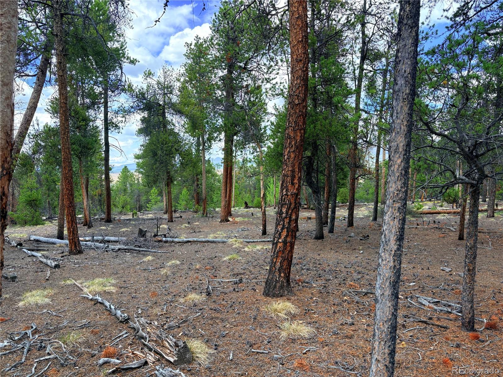 360 Lodgepole Drive