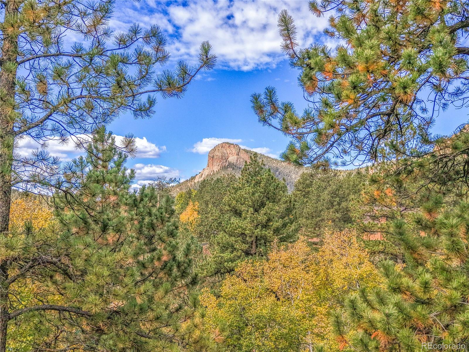 11864 S Stallion Drive