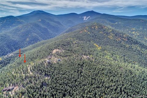 111 Lizzie Claim Idaho Springs CO 80452