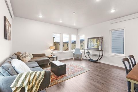 585 N Railroad Street Buena Vista CO 81211