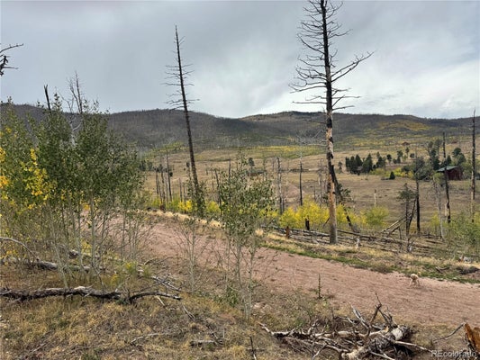 LOT 1797 MARR LOOP, FORT GARLAND, CO 81133 - Image e68aa20367965e5ccd0bdfb32f8093c9/3380404025
