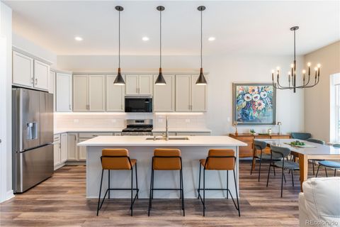 124 Kitselman Drive Castle Rock CO 80104