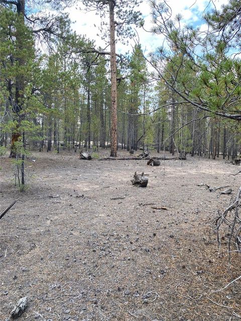 340 Peak View Drive Twin Lakes CO 80461
