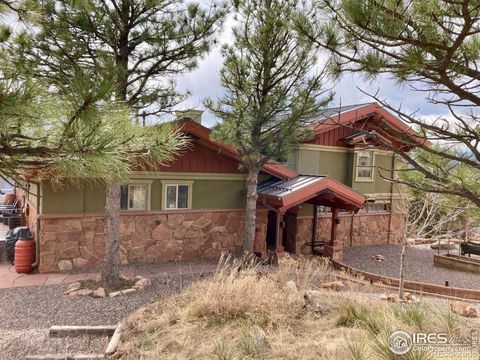 1262 Steamboat Valley Road, Lyons, CO 80540 - #: IR1004786