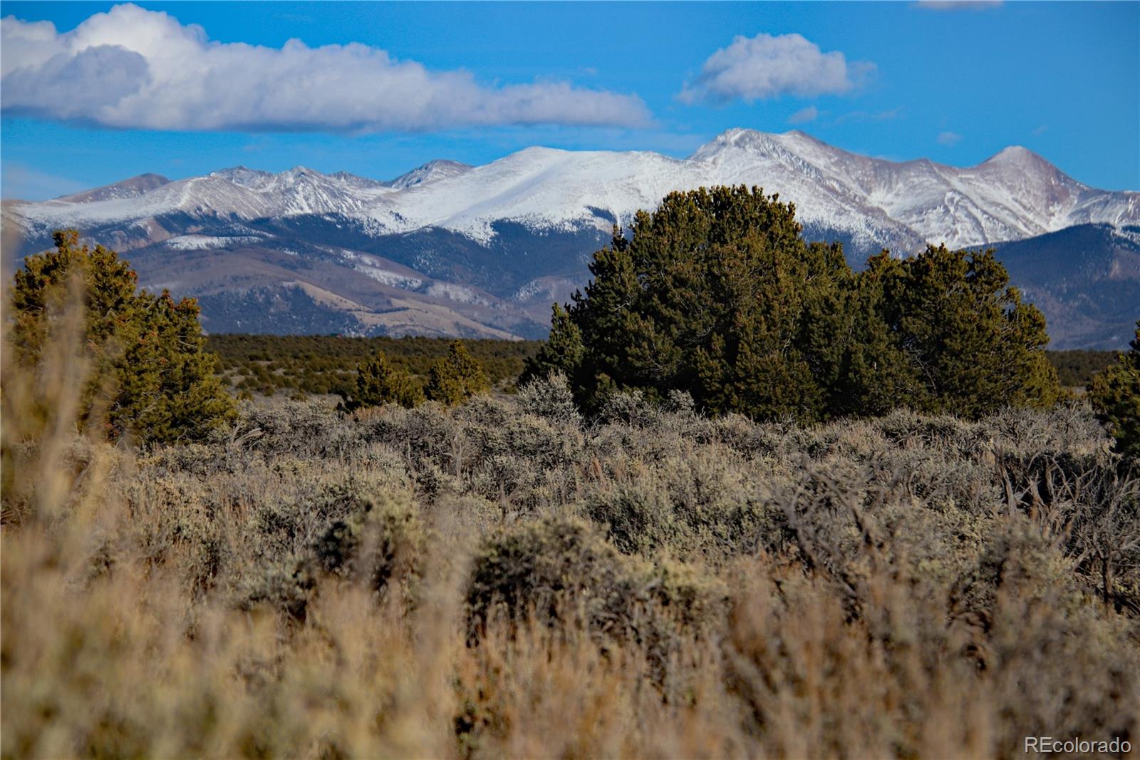 Parcel 40 Alta Mesa Drive