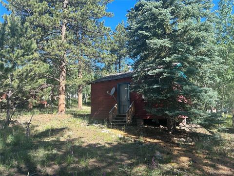 97 Wolf Road, Bailey, CO 80421 - #: 7302843