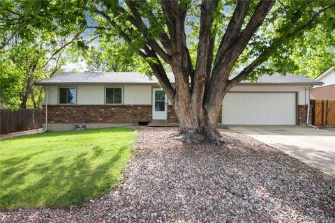 7695 S Harlan Street Littleton CO 80128