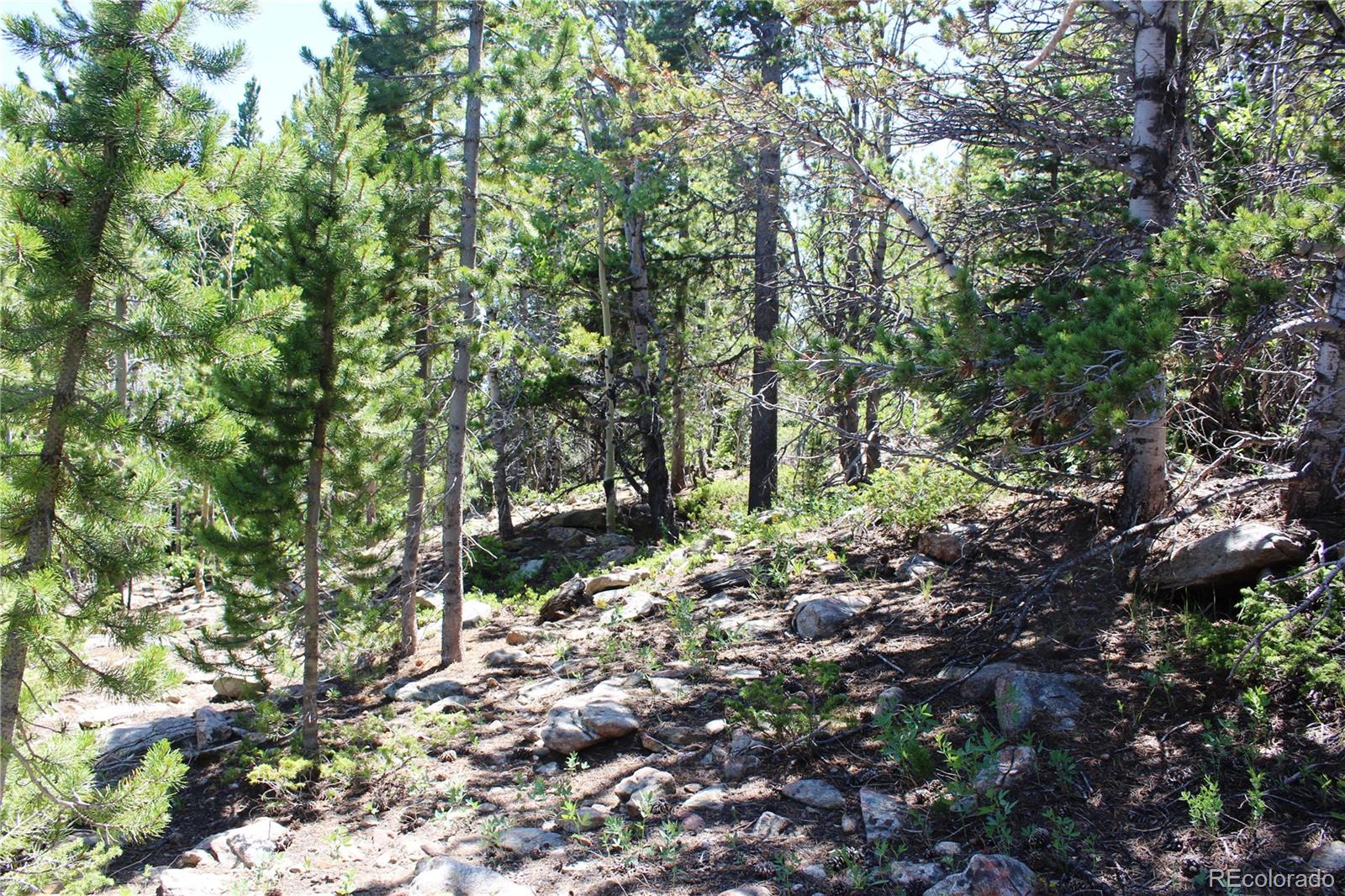 1595 Missouri Gulch Road